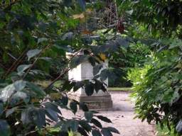 Imgp6731.jpg