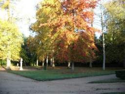 Imgp8570.jpg