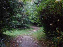 Imgp8578.jpg