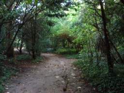 Imgp8579.jpg