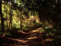 Imgp9190.jpg