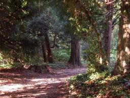 Imgp9191.jpg